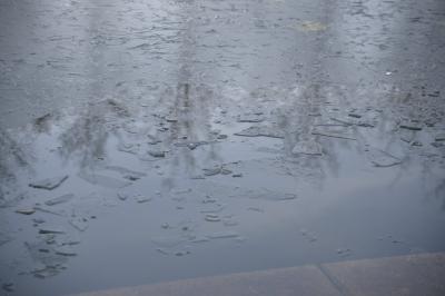 Reichenbach/Fils: Kurioser Feuerwehreinsatz - Ente auf See eingefroren